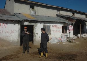 Fırsatçılığa bakın, hizaya gelin